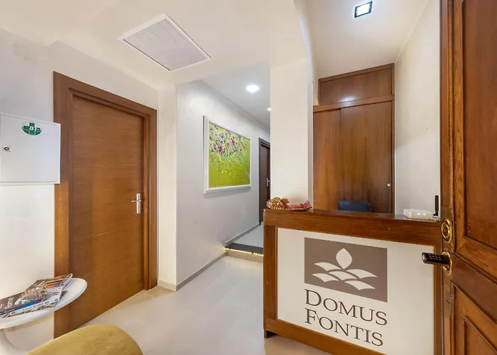 Domus Fontis